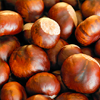 horse chestnut extract - OstyHealth Composition 